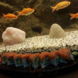 Jonkman T Mosselke Nourriture