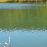 La Capitainerie Extérieur