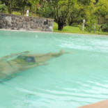 Taveerne Gaston Exterior