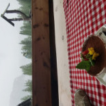 Aziatische Keuken Oishi Veghel Boisson