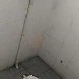 The Black Sheep Extérieur