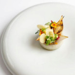 Hofke Van Bazel Bebida