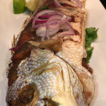 Het Grote Kabouterbos Essen