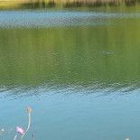 Brasserie De Geer Exterior