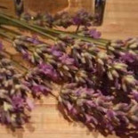 Onder De Brug Brasserie Evenementen Comida