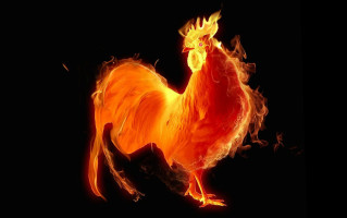 Happerij 't Schouwtje Ouddorp Bebida