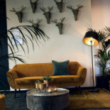 Zuid À l'intérieur