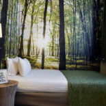 Zuid À l'intérieur