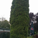 Le Couarail Extérieur