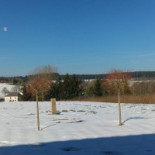 Qienboi Bières Et Tartines Exterior