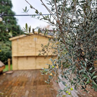 Sensi Concepts Bebida