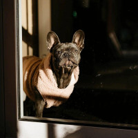 Sensi Concepts Bebida