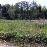 Café Hoge Weg Extérieur