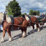 Herberg T'huis Extérieur