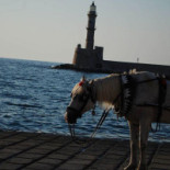 Onder De Brug Brasserie Evenementen Extérieur