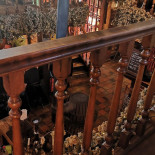 De Tere Plekke Dentro