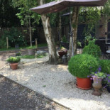 Laurenzo • Tea-room Exterior