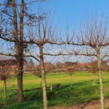 Pajot Begot Extérieur