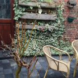 De Warande À l'intérieur