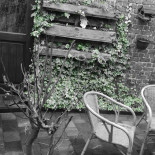 De Warande À l'intérieur