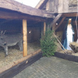 De Klothoeve Extérieur