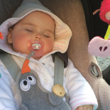 't Groot Kaffee Boisson