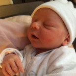 Frituur De Hei Boisson