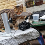 Café Den Turk Boisson