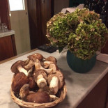 De Dikke Deur Nourriture