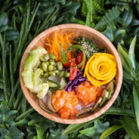 Ark Van Noach Boisson