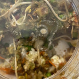 Ark Van Noach Nourriture