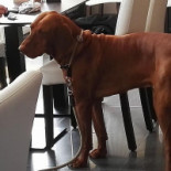 Bistro Sfeercafé Monroe Oostende Boisson