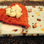 Feestzaal B&b Het Merelnest Comida