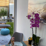 Villa Cecha Getränk