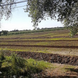 Brasserie De Hompesche Molen Extérieur