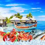 De Frietoloog Extérieur