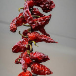 Pizza Da Manu Boisson