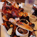 't Hofstedeke Bebida