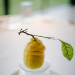 Colette De Vijvers Bebida