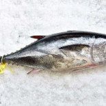 Dôme Sur Mer Boisson
