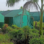 Yi Jiang Nan • Extérieur