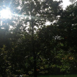 De Boskantien Extérieur