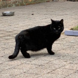 De Boskantien Boisson