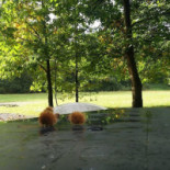 De Boskantien Extérieur