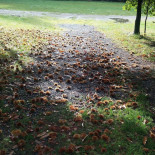 De Boskantien Extérieur