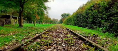 Café 't Groene Woud Exterior