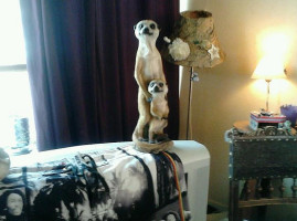 Café 't Groene Woud Bebida