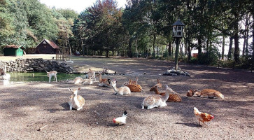 Mark's Eethuis Extérieur