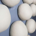 Orient Kuringen Bebida