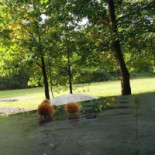 De Boskantien Extérieur